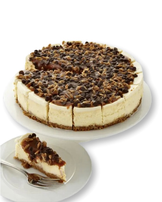 A cheesecake with chocolate chips on top of it.